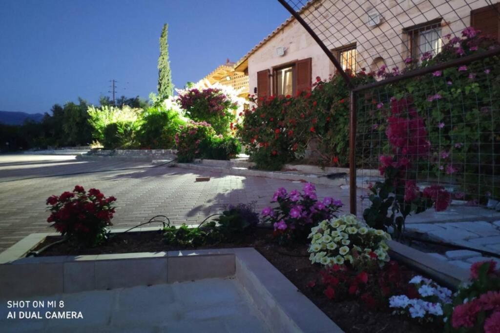 Stonehouse Olivelia - Afrathias Beach Tympaki Екстер'єр фото
