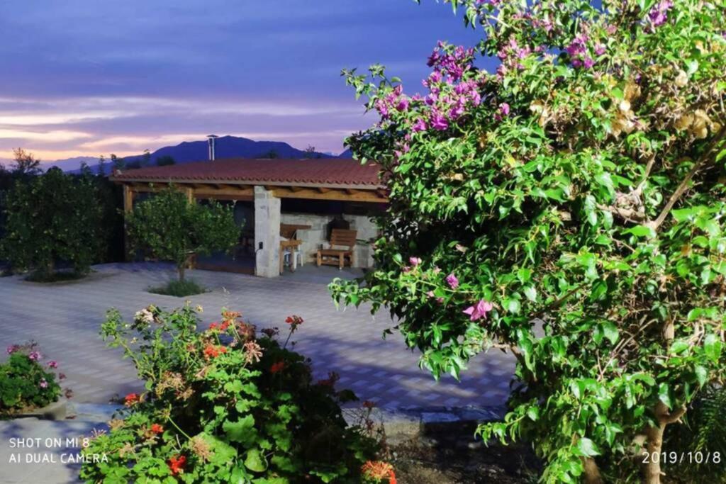 Stonehouse Olivelia - Afrathias Beach Tympaki Екстер'єр фото