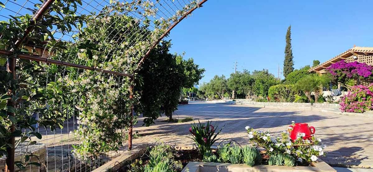 Stonehouse Olivelia - Afrathias Beach Tympaki Екстер'єр фото